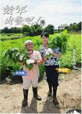 中国通史大汉卷纪录片全集